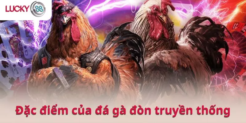 Đặc điểm của đá gà đòn truyền thống